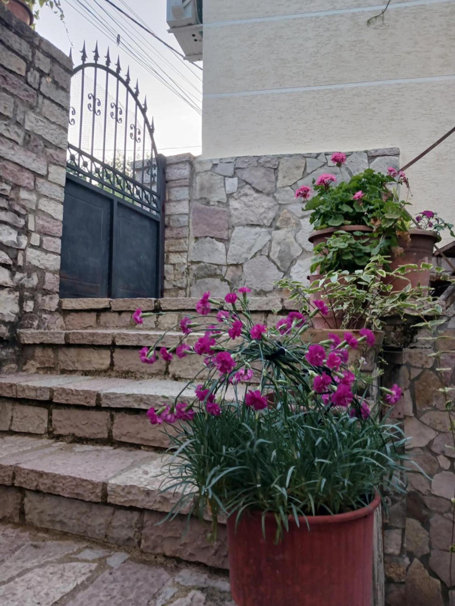 Eniguesthouse Gjirokastër المظهر الخارجي الصورة